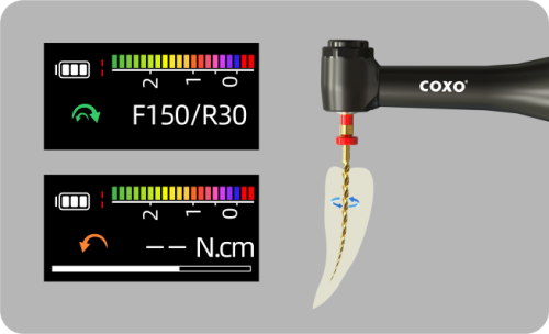 C-Smart Mini AP+,COXO's newest Endo Motor and Apex Locator