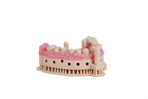 Dental Model Resin Liqcreate Pro Beige partial arch model
