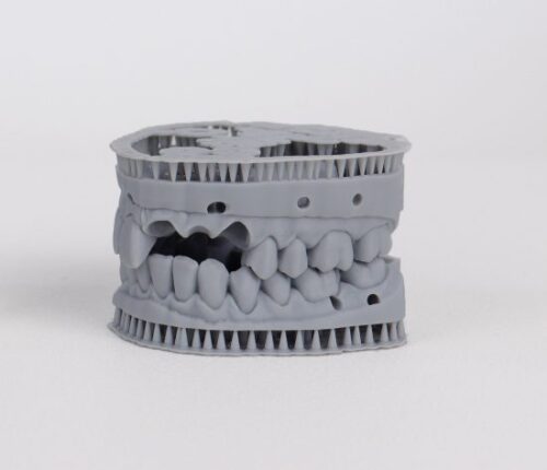 Dental Model Resin Liqcreate Pro Grey full upper lower model