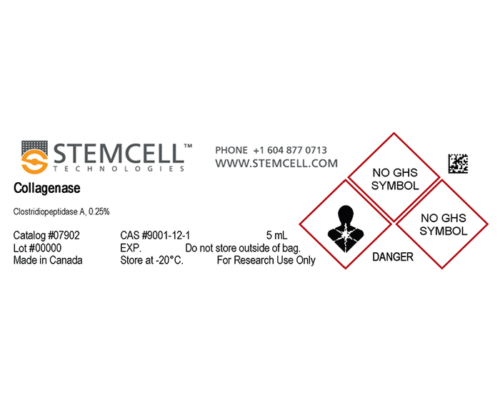 Collagenase Type 1 (0.25%) 5ml For Dental Stem Cell Isolation