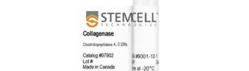 Collagenase Type 1 (0.25%) 5ml For Dental Stem Cell Isolation