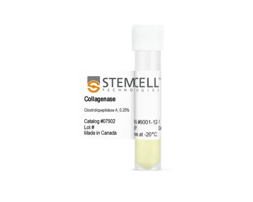 Collagenase Type 1 (0.25%) 5ml For Dental Stem Cell Isolation