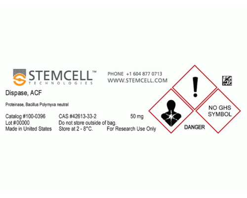 Dispase ACF (Animal Component Free) for Stem Cell Isolation-