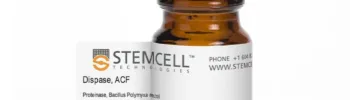 Dispase ACF (Animal Component Free) for Stem Cell Isolation