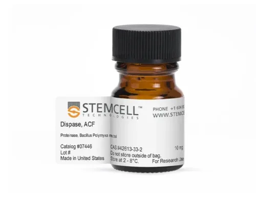 Dispase ACF (Animal Component Free) for Stem Cell Isolation